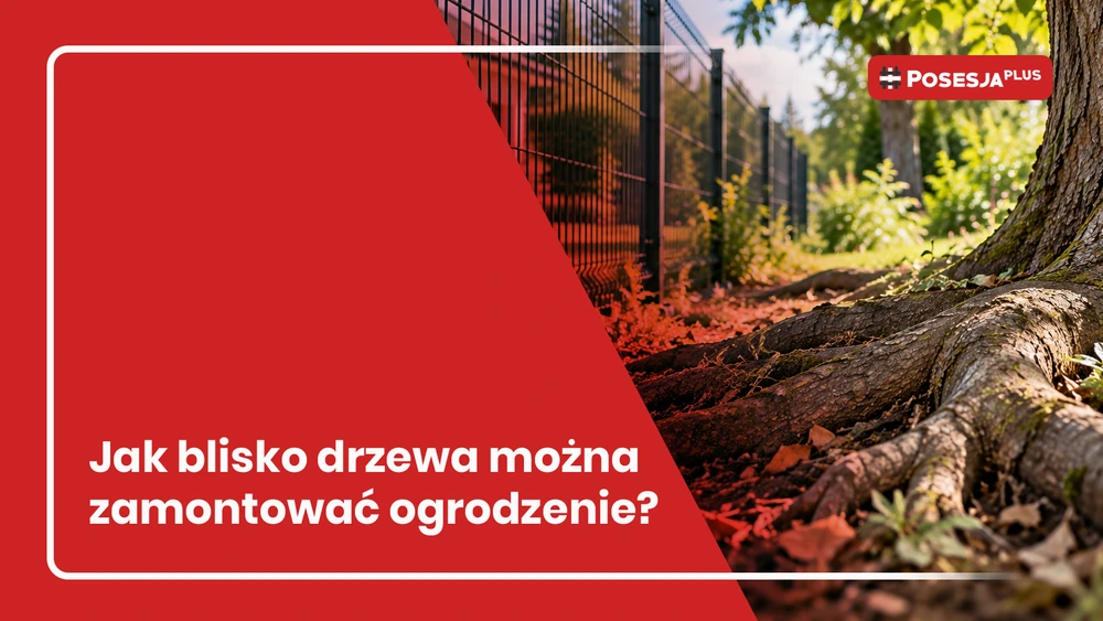 Korzenie drzew a ogrodzenie – jak blisko można je zamontować?
